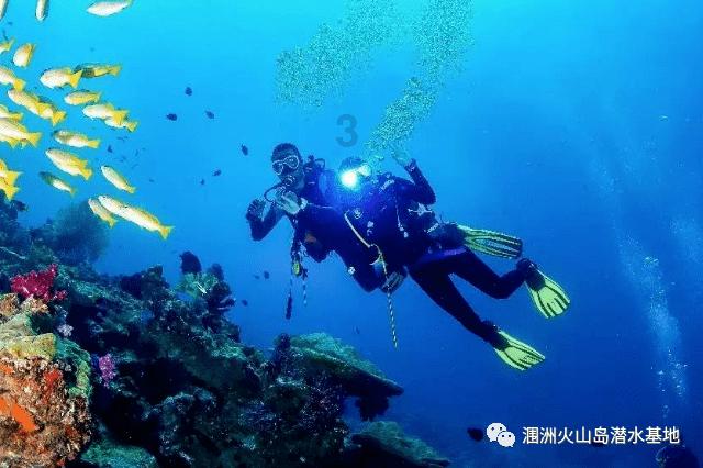废弃精神病院逃脱