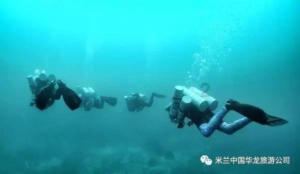 逃离森林湖畔