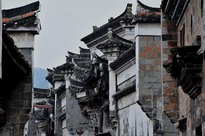 极地大逃亡